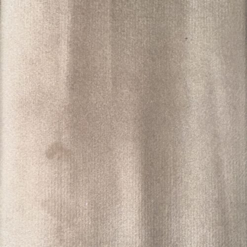 Cream Plush Velvet