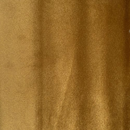 Gold Plush Velvet