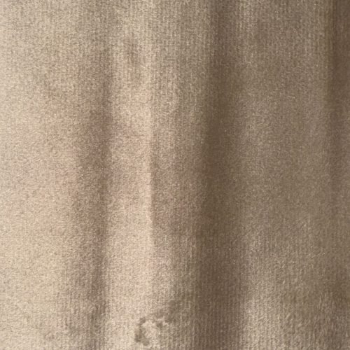 Mink Plush Velvet